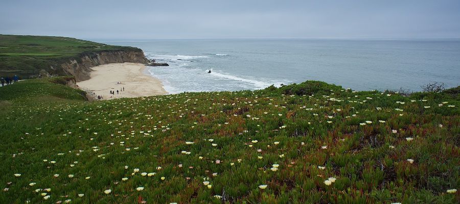 Half Moon Bay