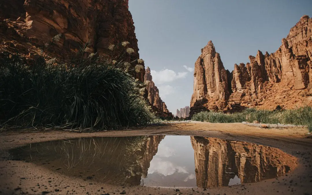 Wadi Al Disah in Tabuk Region: The Valley of Palm Trees